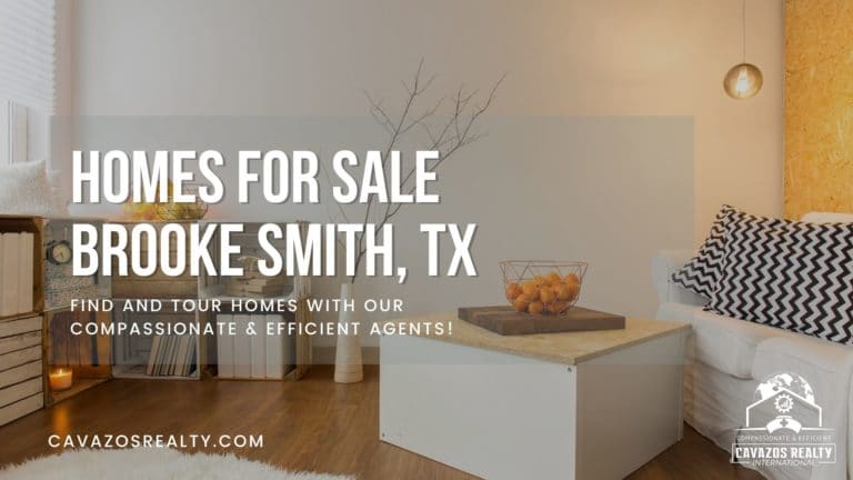 homes for sale in brooke smith tx